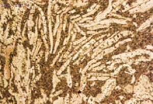 Пробковый пол IBERCORK Фронтера