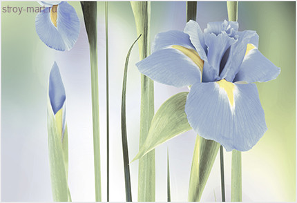 Рефлекс Ирис Декор ВС7РИ123 36,4х24,9 Рефлекс Ирис Декор ВС7РИ123 36,4х24,9