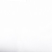 Ткань портьерная Brillant - 1 Ткань портьерная Brillant - 1