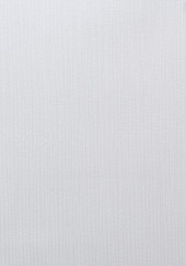 Обои Patrizia 1295-5 (10,05*0,53 м) 12 рулонов/уп. - С-000114957 Обои Patrizia 1295-5 (10,05*0,53 м) 12 рулонов/уп. - С-000114957