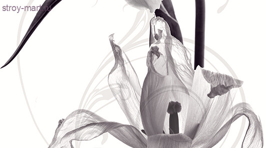 Dec Pulsar Panno A КПН16PulsarA 25х45