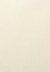 Обои Patrizia 1295-2 (10,05*0,53 м) 12 рулонов/уп. - С-000114959 Обои Patrizia 1295-2 (10,05*0,53 м) 12 рулонов/уп. - С-000114959