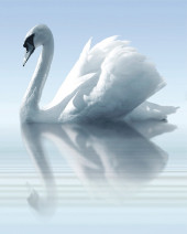 Porto Water and Swan А Панно 75x60 (3пл) Porto Water and Swan А Панно 75x60 (3пл)