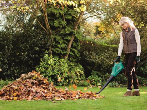 ВОЗДУХОДУВКА С ФУНКЦ. ПЫЛЕСОСА ALS 30 - 06008A1100