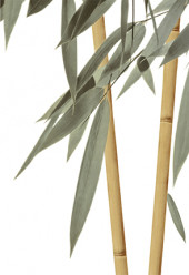 Бамбук ВС7БМ004 Декор 24,9х36,4