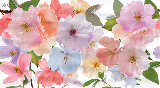 Dec Clematis Panno A КПН16ClematisA 25х45 Dec Clematis Panno A КПН16ClematisA 25х45