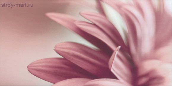 Sorenta bianco durst kwiaty A Декор 30x60 Sorenta bianco durst kwiaty A Декор 30x60