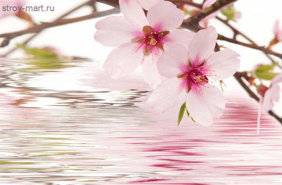 Stein-2 Space Панно (из 2х пл.) 59x90