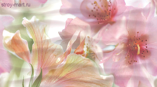 Dec Mirella Panno A КПН16MirellaA 25х45 Dec Mirella Panno A КПН16MirellaA 25х45