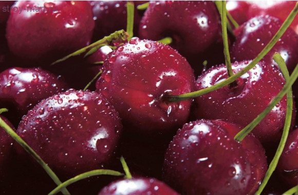 Vega-2 Space Панно (из 2х пл.) 59x90 Vega-2 Space Панно (из 2х пл.) 59x90