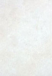 Венеция 7ВН004 Плитка настенная 24,9х36,4 Венеция 7ВН004 Плитка настенная 24,9х36,4