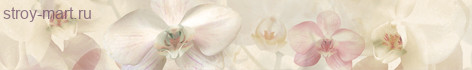 Cnfa. Odorata Бордюр 5х31,6 Cnfa. Odorata Бордюр 5х31,6