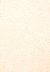 Обои Moda Vlies Color 2236-2 (10*1,06) 9/уп - С-000095584 Обои Moda Vlies Color 2236-2 (10*1,06) 9/уп - С-000095584