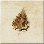 Jesien Skwer 6 centro Декор 10х10 Jesien Skwer 6 centro Декор 10х10