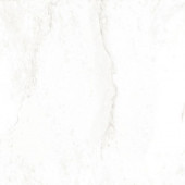 PL 01 60х60 полир PL 01 60х60 полир