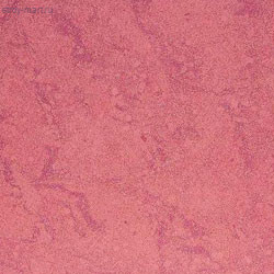 Керамогранит Estima PM 02 полированный (600х600х10мм), 1,44кв.м. в уп., 43,2кв.м. в под. - С-000020661 Керамогранит Estima PM 02 полированный (600х600х10мм), 1,44кв.м. в уп., 43,2кв.м. в под. - С-000020661