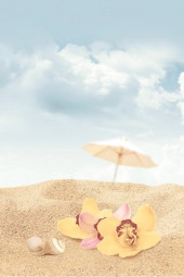 Cocktail Декор D3 D3D140 20х30 Cocktail Декор D3 D3D140 20х30