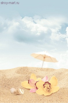 Cocktail Декор D3 D3D140 20х30 Cocktail Декор D3 D3D140 20х30