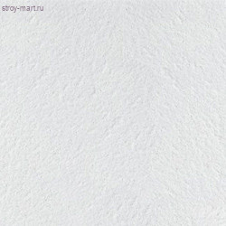 Потолочная панель Retail Tegular (600x600 х14 мм), 16 шт. - 5,7 кв.м. /уп. / арт.BP3064M4 (B) - С-000074182 Потолочная панель Retail Tegular (600x600 х14 мм), 16 шт. - 5,7 кв.м. /уп. / арт.BP3064M4 (B) - С-000074182