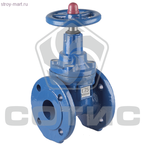 Задвижка фланцевая с невыдвижным шпинделем чугунная 30ч39р (МЗВ) Ду 100 Задвижка фланцевая с невыдвижным шпинделем чугунная 30ч39р (МЗВ) Ду 100