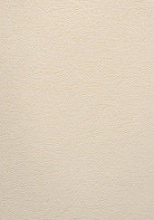 Обои Mirage серия 2499-2 (10.05*1.06м) 9рулонов/уп. - С-000122093 Обои Mirage серия 2499-2 (10.05*1.06м) 9рулонов/уп. - С-000122093