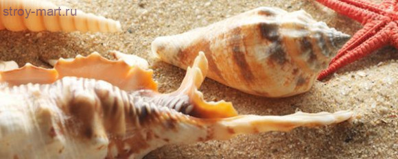 Сиерра 3 Декор тип 2 20х50 Сиерра 3 Декор тип 2 20х50