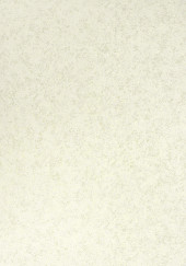 Обои Mirage серия 2488-2 (10.05*1.06м) 9рулонов/уп. - С-000122095 Обои Mirage серия 2488-2 (10.05*1.06м) 9рулонов/уп. - С-000122095