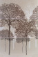 Castylia Klon Панно (3-элемента) Drzewa 90х60 Castylia Klon Панно (3-элемента) Drzewa 90х60