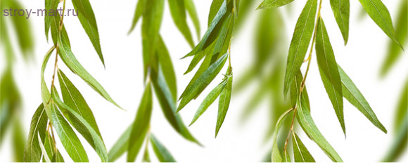 Leaves centro B Декор 20х50 Leaves centro B Декор 20х50