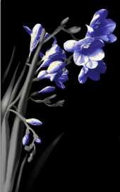 Spring czarny 2 centro Декор 25х40 Spring czarny 2 centro Декор 25х40