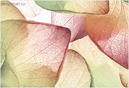 Рефлекс Ультра Декор ВС7РУ125 36,4х24,9 Рефлекс Ультра Декор ВС7РУ125 36,4х24,9