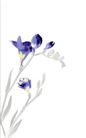 Spring bialy 1 centro Декор 25х40 Spring bialy 1 centro Декор 25х40