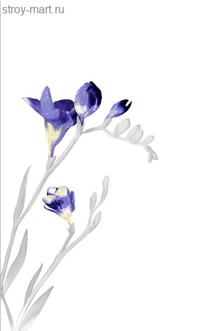 Spring bialy 1 centro Декор 25х40 Spring bialy 1 centro Декор 25х40