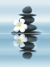 Dream Панно P2-3D185 30х40 (из 2-х пл.) Dream Панно P2-3D185 30х40 (из 2-х пл.)