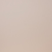 City Style Бежевый G-110/RM 60x60 матовый