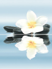 Dream Панно P2-2D185 30х40 (из 2-х пл.) Dream Панно P2-2D185 30х40 (из 2-х пл.)