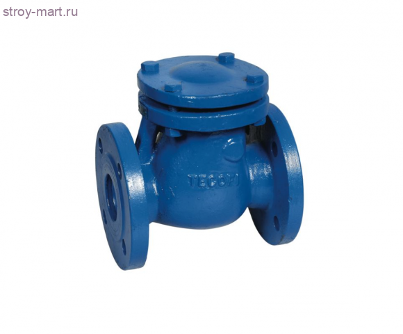 Клапан обратный чугун CB3240 Ду 40 Ру16 фл 1/створ Tecofi - 019-0662 Клапан обратный чугун CB3240 Ду 40 Ру16 фл 1/створ Tecofi - 019-0662