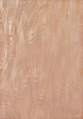 Обои Laguna серия 1857-11 (0,53x10м) 12рул/уп - С-000098177 Обои Laguna серия 1857-11 (0,53x10м) 12рул/уп - С-000098177