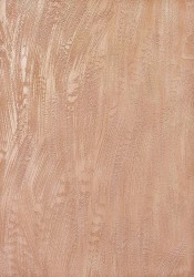 Обои Laguna серия 1857-11 (0,53x10м) 12рул/уп - С-000098177