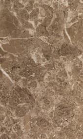 Saloni brown 02 Плитка настенная 30х50 Saloni brown 02 Плитка настенная 30х50