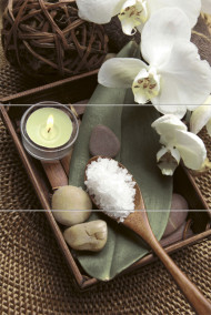 СПА Панно из 3 плиток ПН9СП1 50х74,7 СПА Панно из 3 плиток ПН9СП1 50х74,7