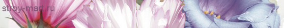 Cen Fantasy Flowers Бордюр 5х50 Cen Fantasy Flowers Бордюр 5х50