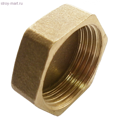 Заглушка латунь Ду 40 пломб ВР - 027-8250