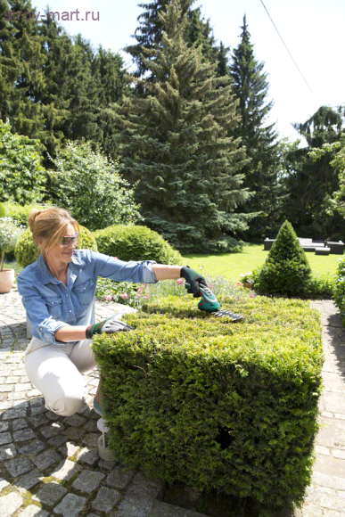 Аккумуляторные ножницы Bosch для травы и кустов, комплект Isio 600833102