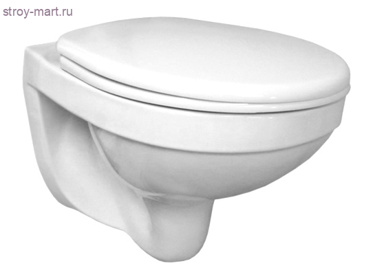 Унитаз подвесной полипропилен Альфа в комплекте сиденье Santeri 1.3255.9.S00.00B.0