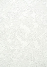 Обои Mode Vlies Professional 2702-1 (1,06х25) 4рул/уп - С-000059303 Обои Mode Vlies Professional 2702-1 (1,06х25) 4рул/уп - С-000059303