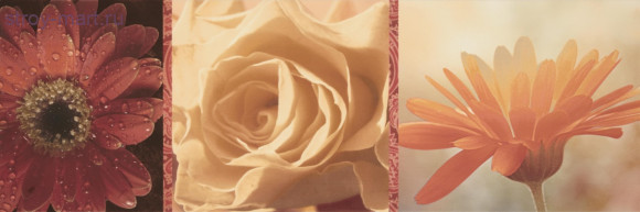 Dec Etna Marfil Декор 20x60 Dec Etna Marfil Декор 20x60