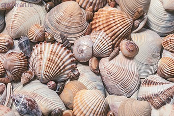 Seashore Декор D1D173 20х30 Seashore Декор D1D173 20х30