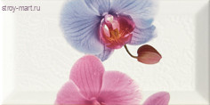 Decor Orchidea 3 Декор 10x20 Decor Orchidea 3 Декор 10x20