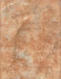 Капри настенная светло-коричневая 1034-0159 25х33 Капри настенная светло-коричневая 1034-0159 25х33